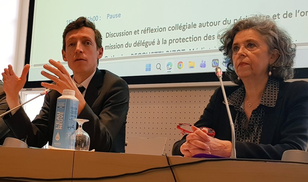 DOUMENC GENEVIEVE tweet media