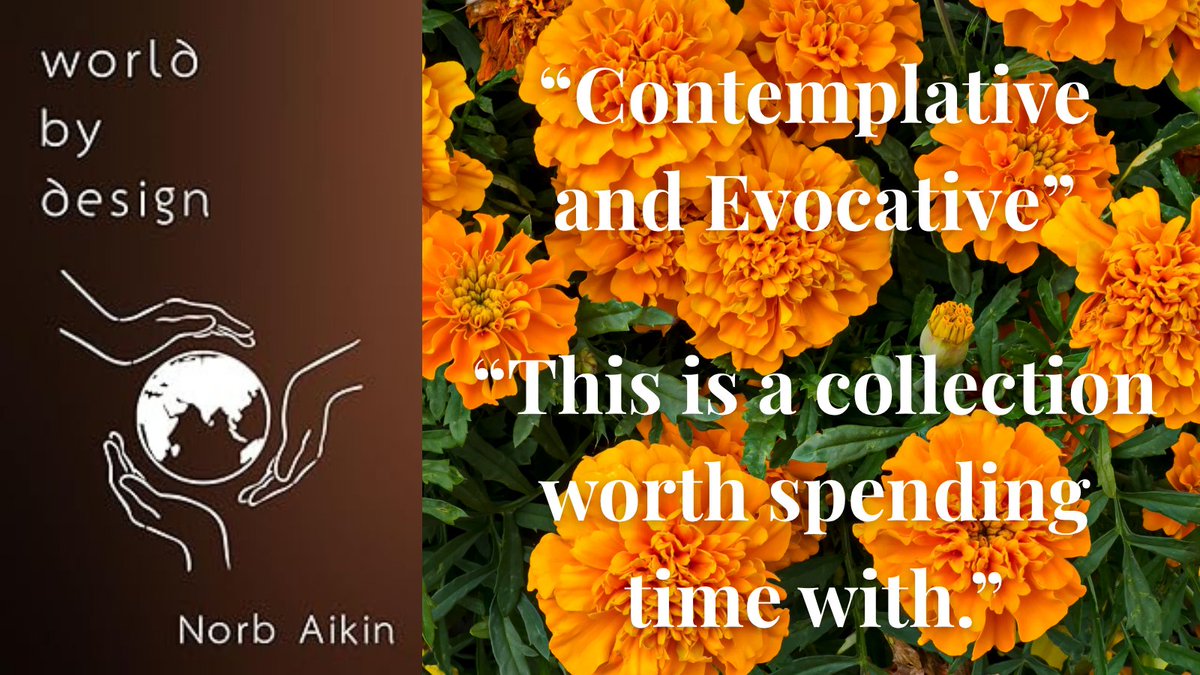 jgmacleodauthor's tweet image. Grab your copy of World By Design by @AikinNorb this #IndieApril.

Signed Copies:
norbaikin.com/blog/product/w…

#poetrycommunity #POEMS #writerscommunity #BookTwitter #AuthorSpotlight #FridayMood #FridayVibes #weekend