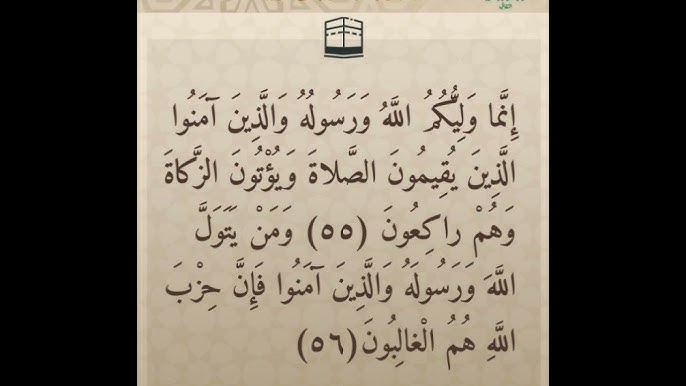 ali zeed abo hashm tweet media