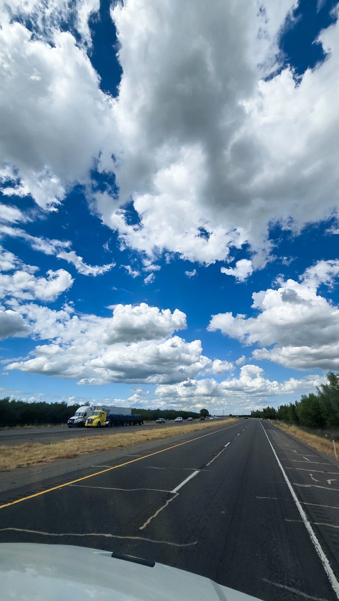 Rika West tweet media