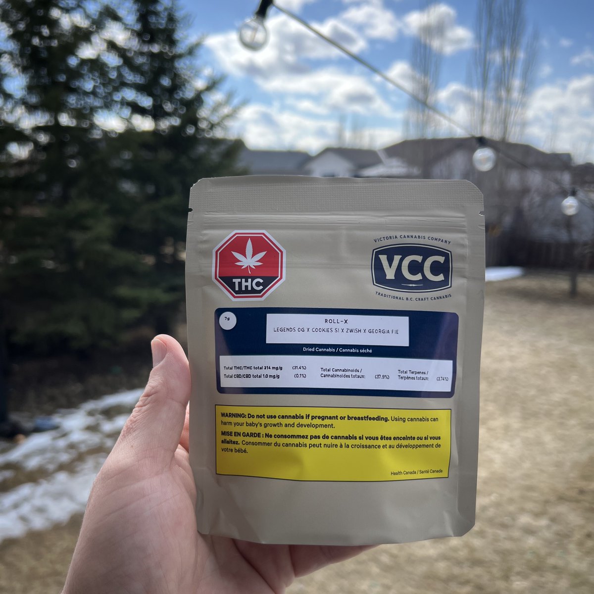 StonerDad 🇨🇦 tweet media
