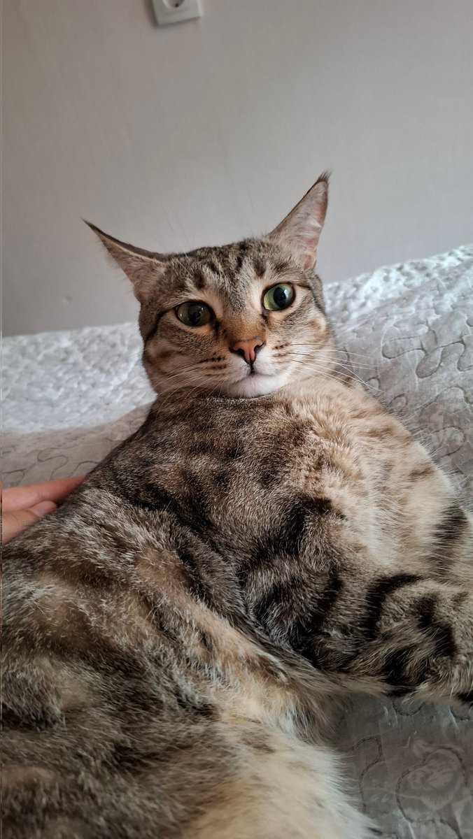 afcleric tweet media