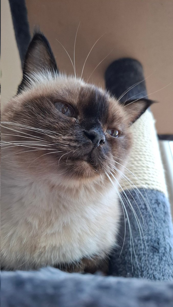 afcleric tweet media