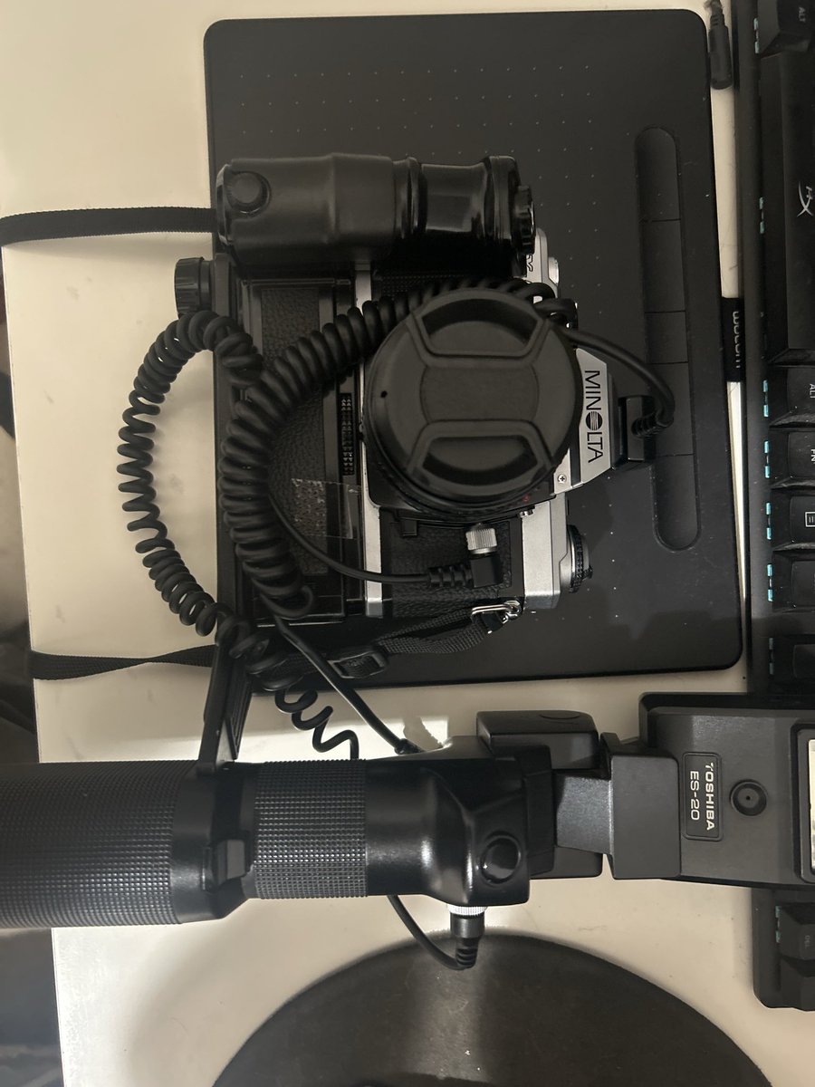 Sputnik Harris Northland (@wacomintos.bsky.social) tweet media