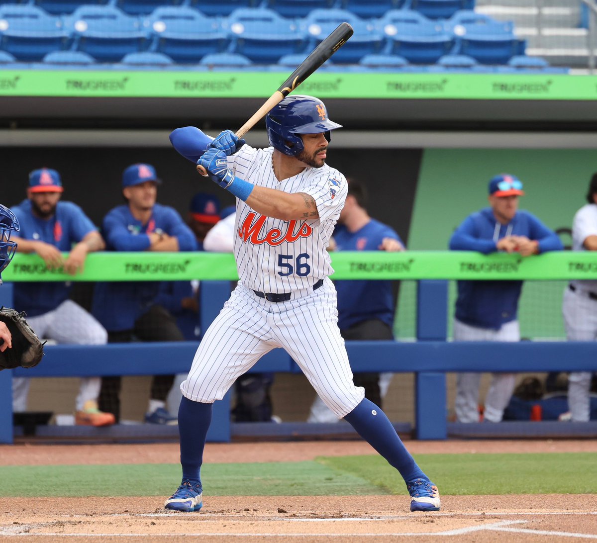 Metsmerized Online tweet media