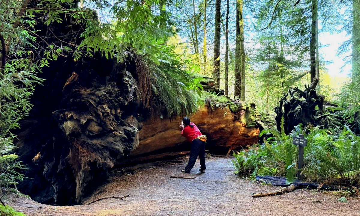 Golden Horizon Tours tweet media