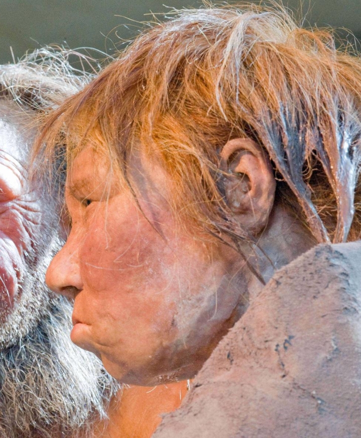 Teresa Cardwell tweet media