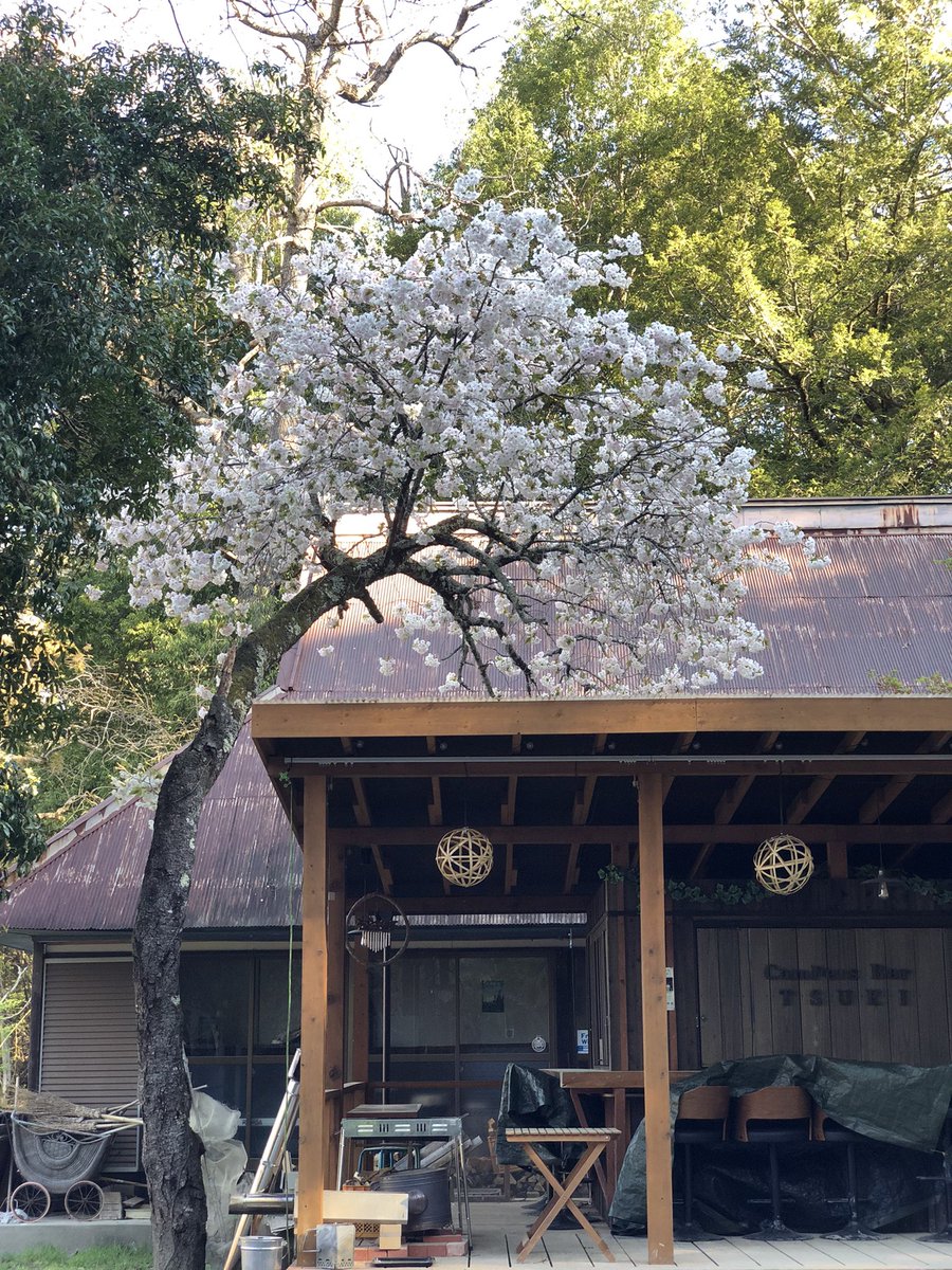 晴家村CAMP FROnTIER開拓人15年生 tweet media