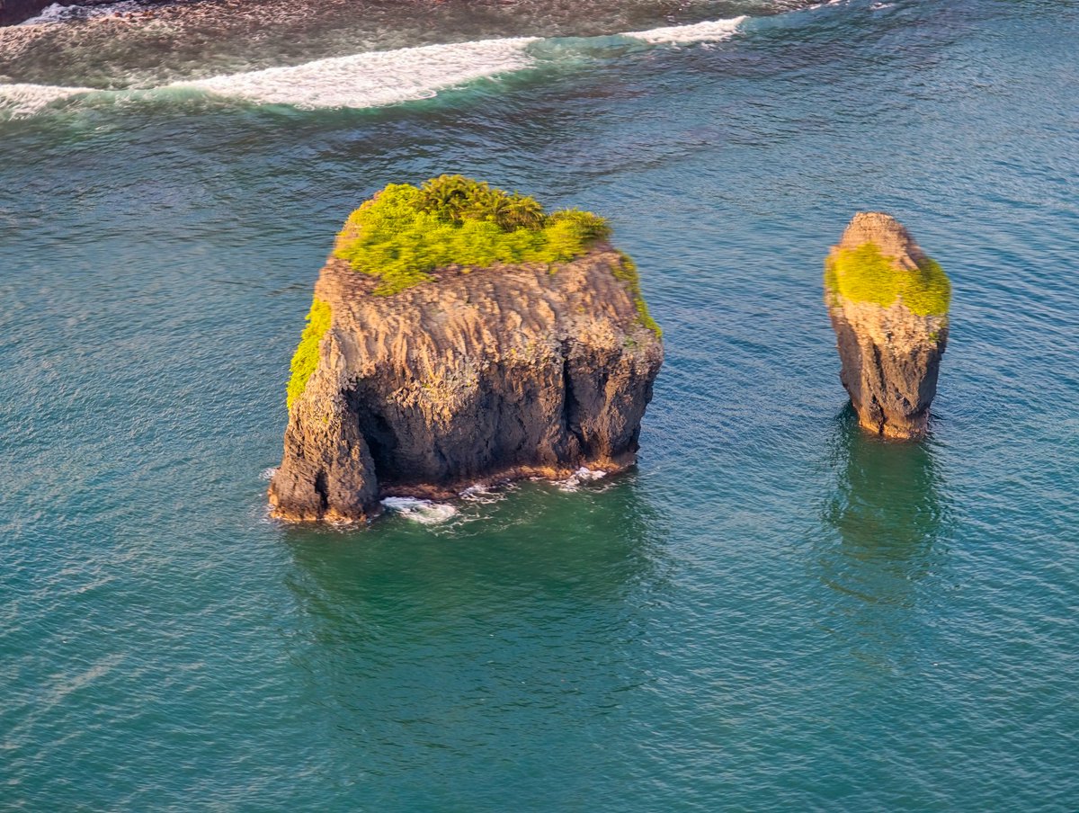 Eric Joel Manej tweet media