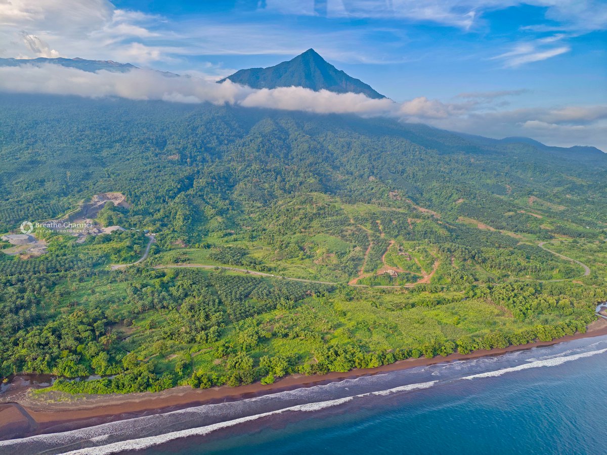 Eric Joel Manej tweet media