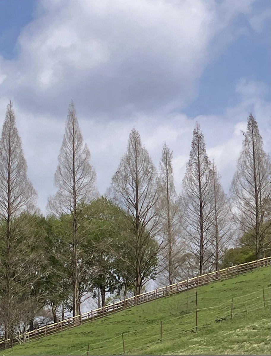 mayu（マビット🐰） tweet media