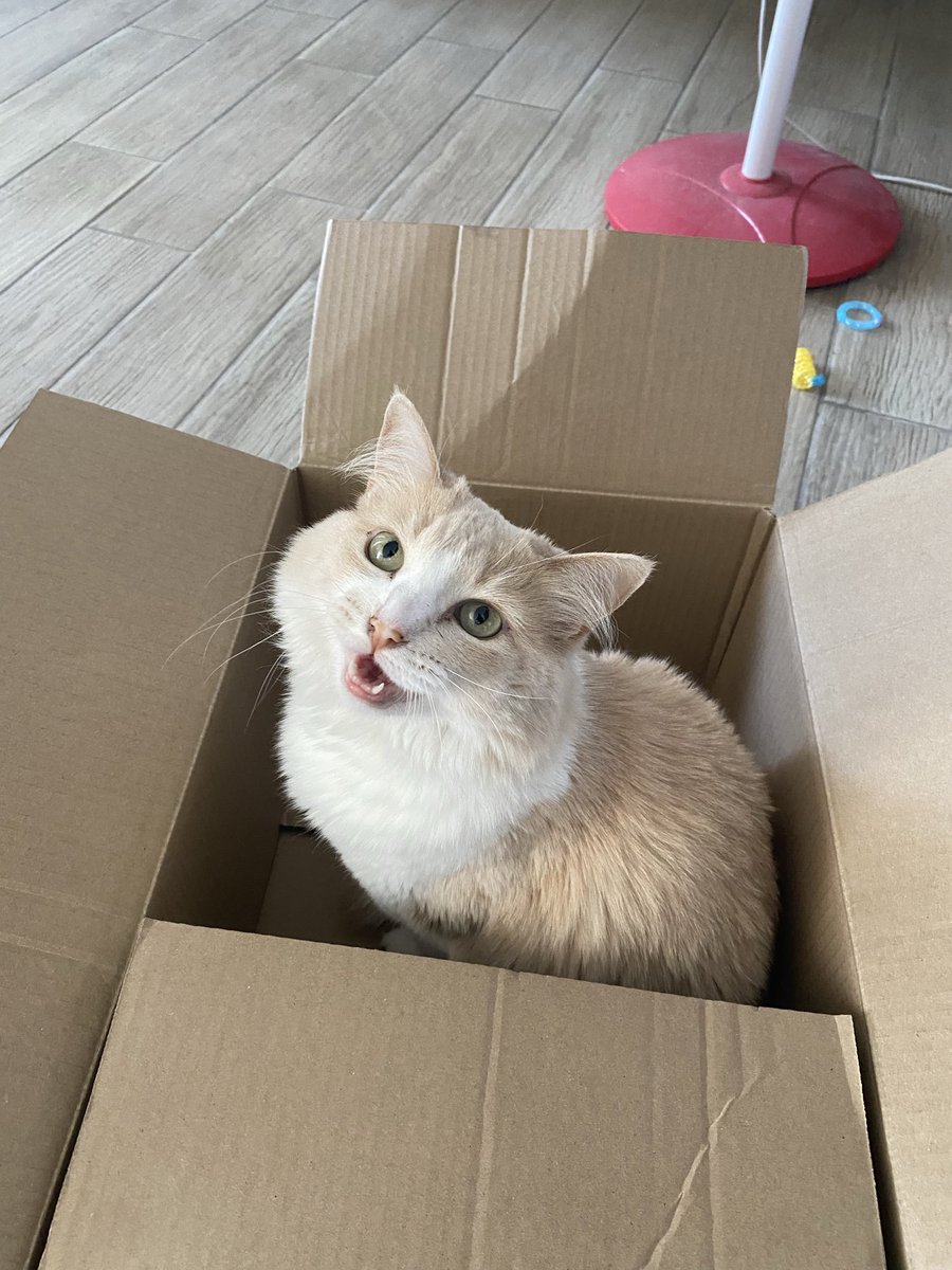 🦊sadgirl🦇 tweet media