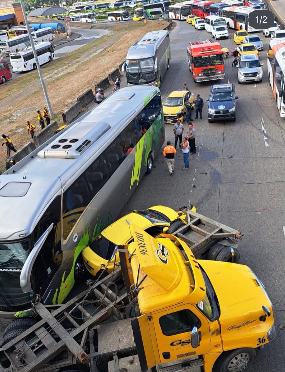 GLEP 🟩 tweet media