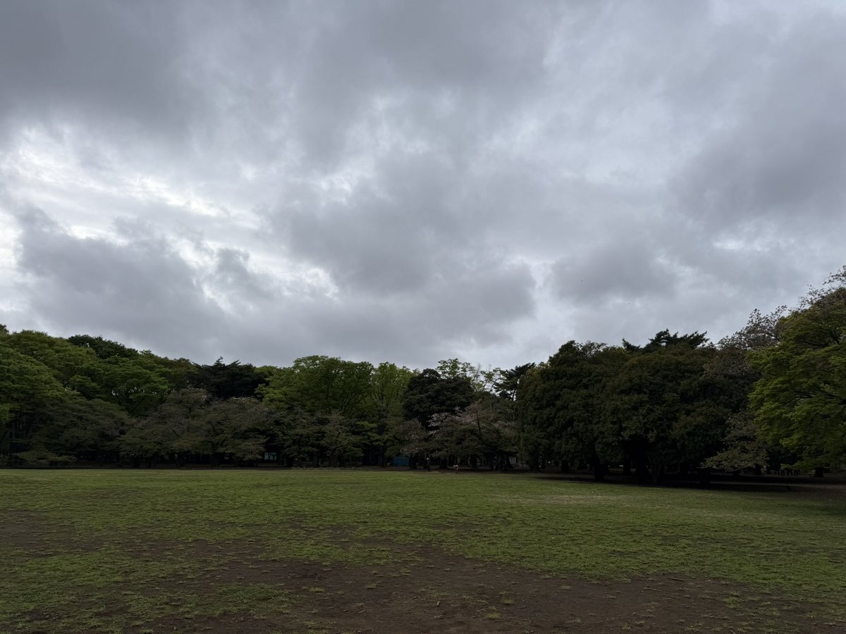 おはようございます