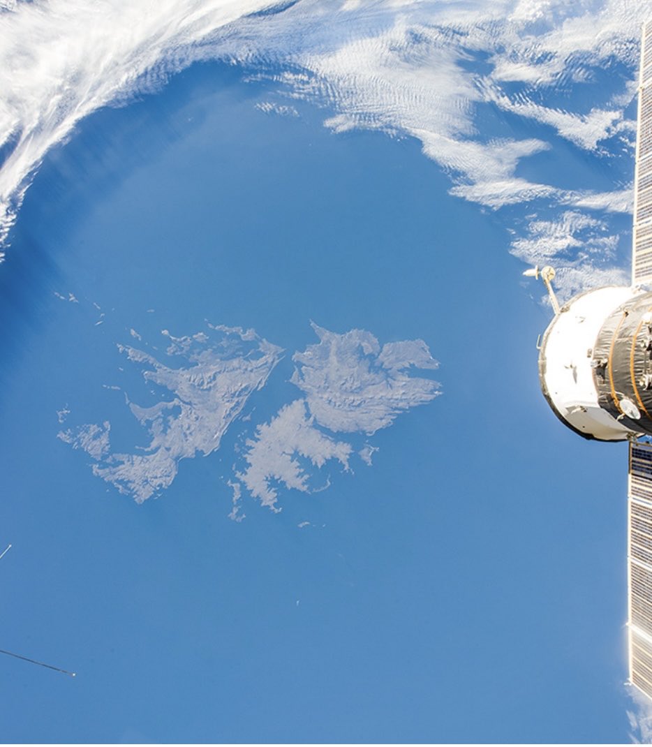 Unidad Básica Ghostface Killah tweet media