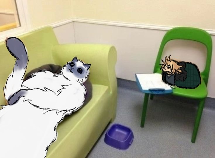 Amestar꩜ᯤ₊˚ tweet media