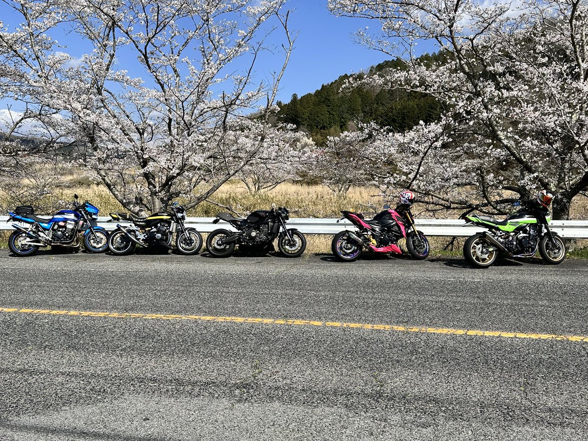 snow10nobu's tweet photo. おはモー🥱ノブっす
ツーリング愛機と桜編🌸
三次の千本桜と青空と愛機🏍️
美しすぎて感動よ🥹
ぶちくそ良かった😍
#今日もhappyにヨロシク👍
#z900rs
#ダエグ
#gsx750
#xsr900 https://t.co/viX8tXngue