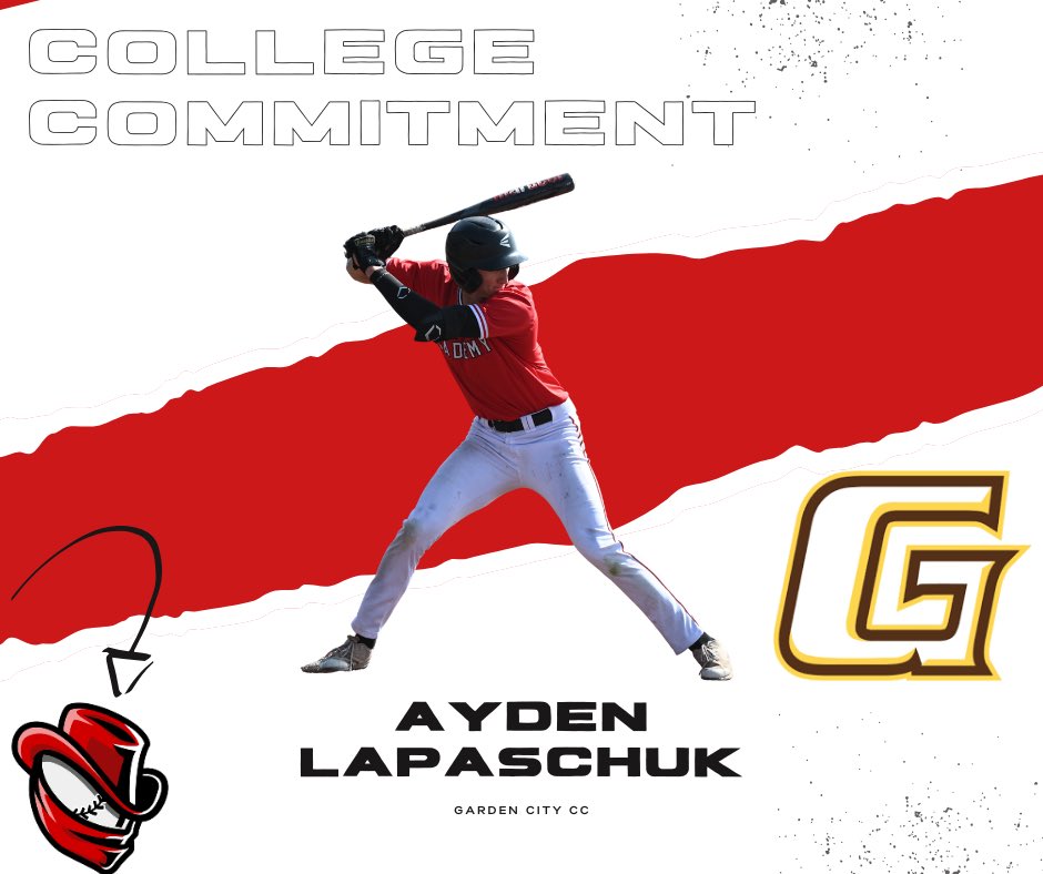 AHP Renegades Baseball Academy tweet media