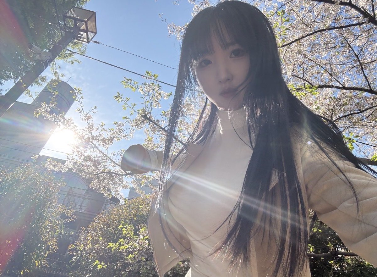 イ・リン💗りんごリン tweet media
