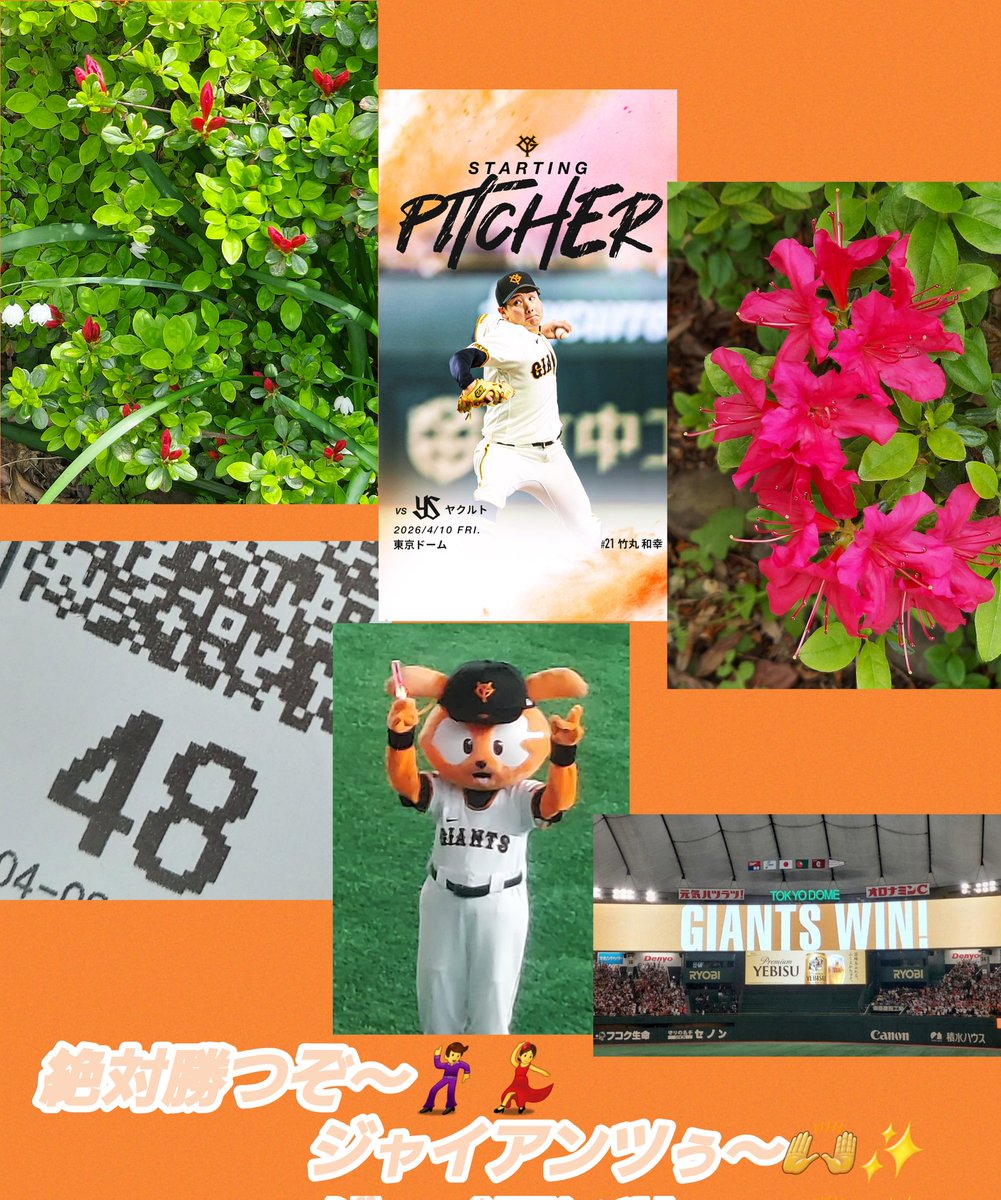 CanCan🦊G党🐰 tweet media