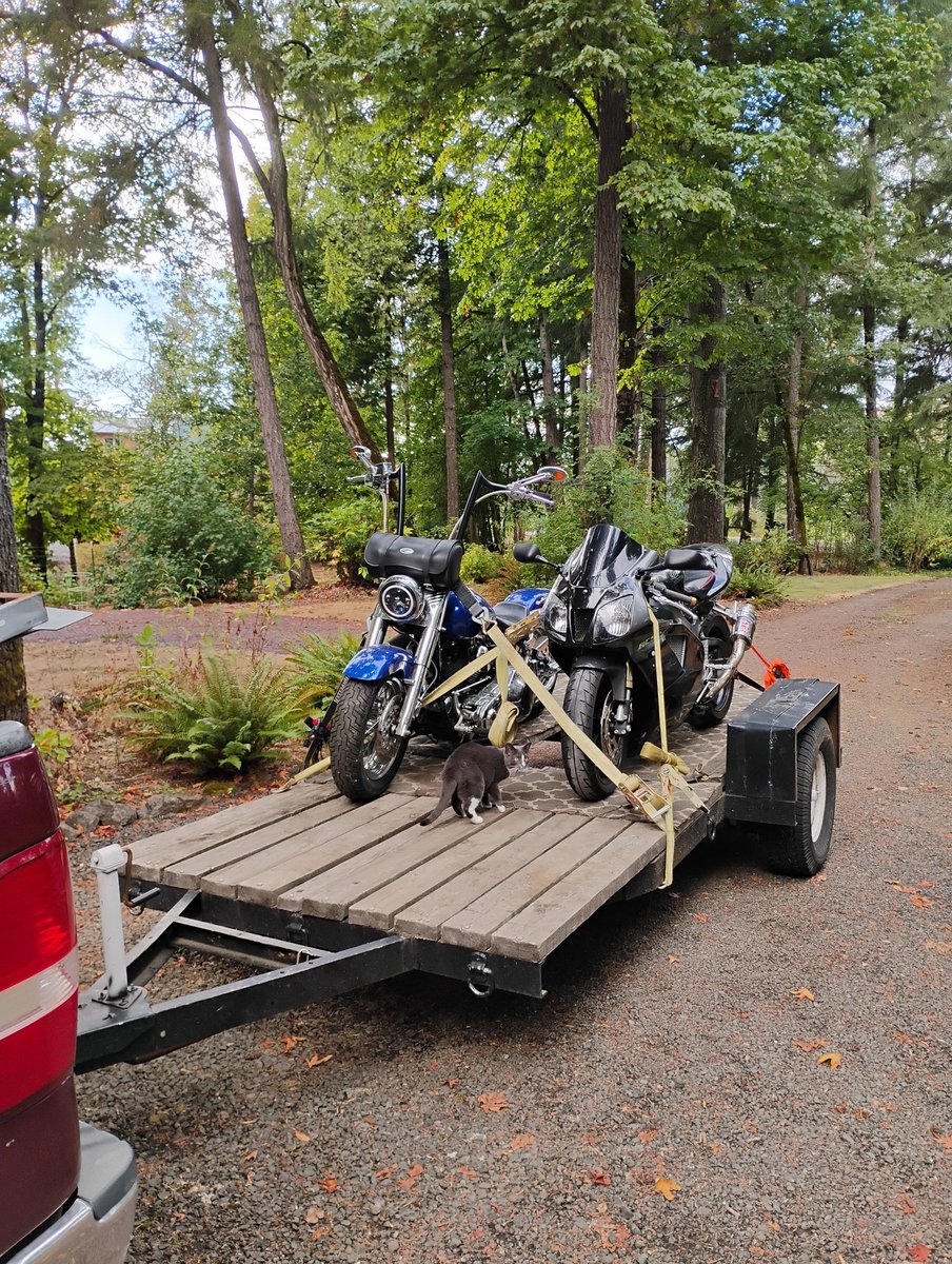 Dave'sRightHere76 tweet media