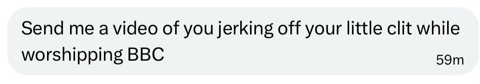 I’m not one to kink shame, but it’s a little weird to call yourself a “BNWO slave” and come into my DMs wanting to see my little wh*te dick.