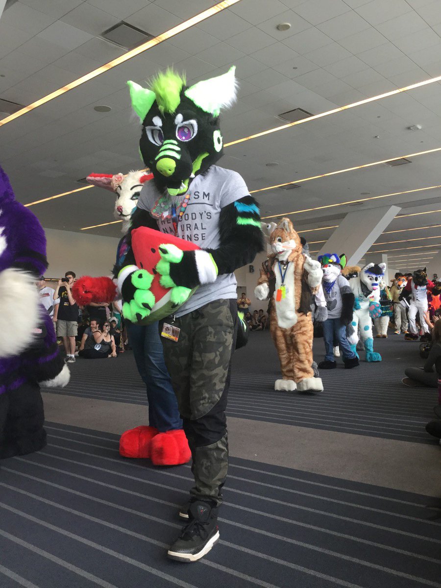 Swamp Dawg @FWA tweet media