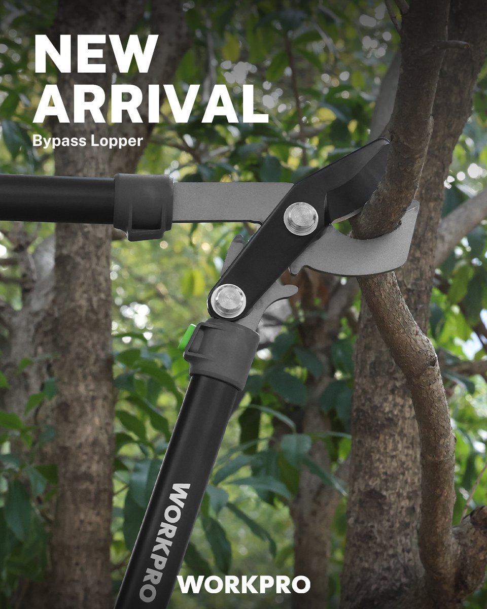 WORKPRO® Tools tweet media