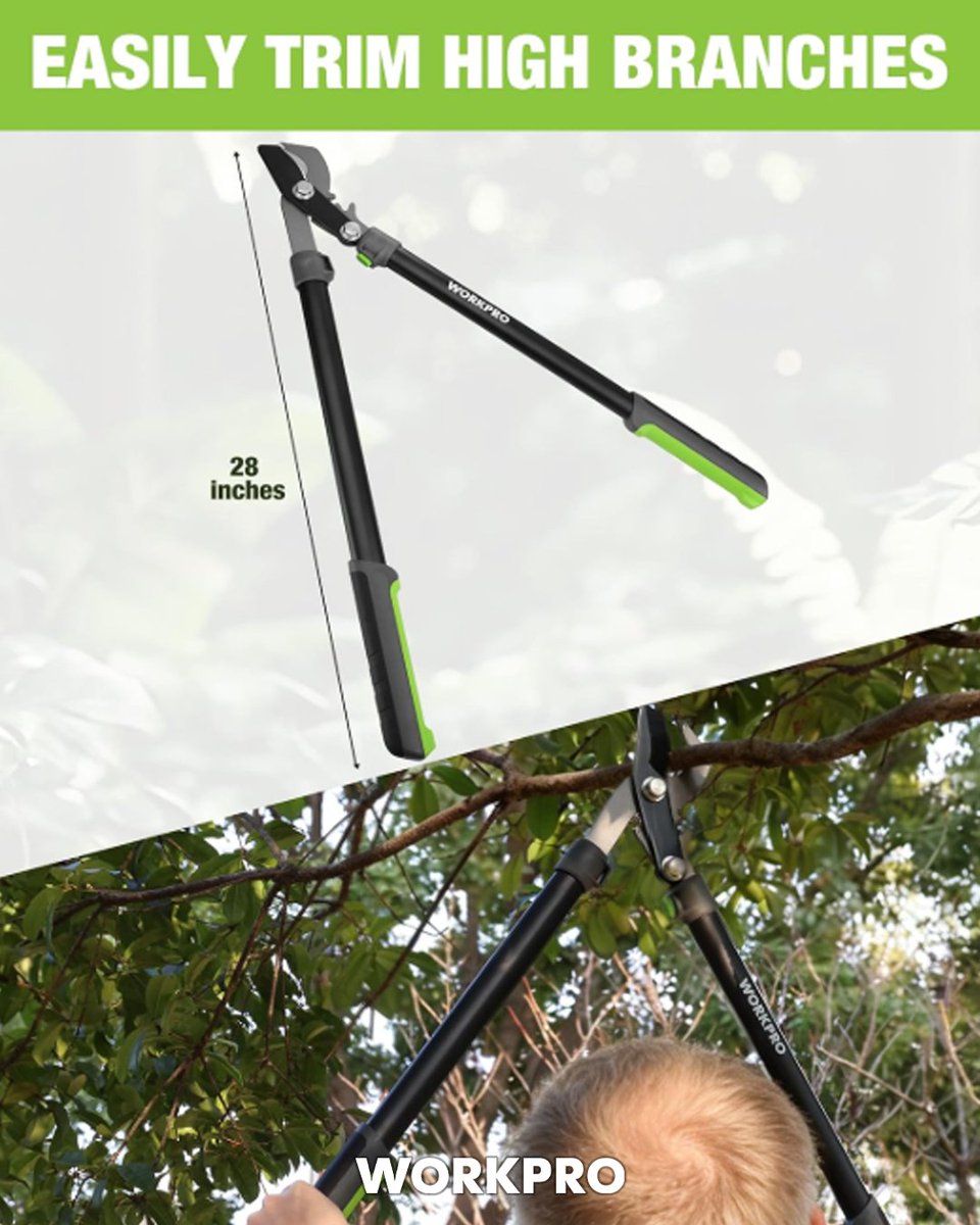 WORKPRO® Tools tweet media