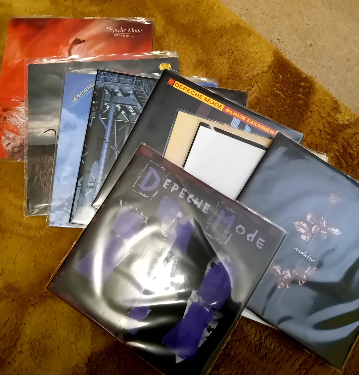 MatthewHoult1's tweet photo. 2 weeks ago I didn't know any of these albums. 
It goes to show that bands never lose the ability to gain new fans no matter  how long they have been producing music . 🎶🎵
Music really is magical and endless ✨️ https://t.co/0z9QEhJRjT