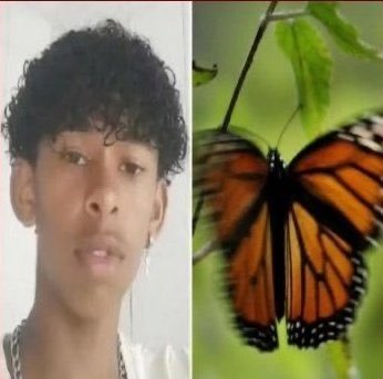 tata 𓇼 tweet media