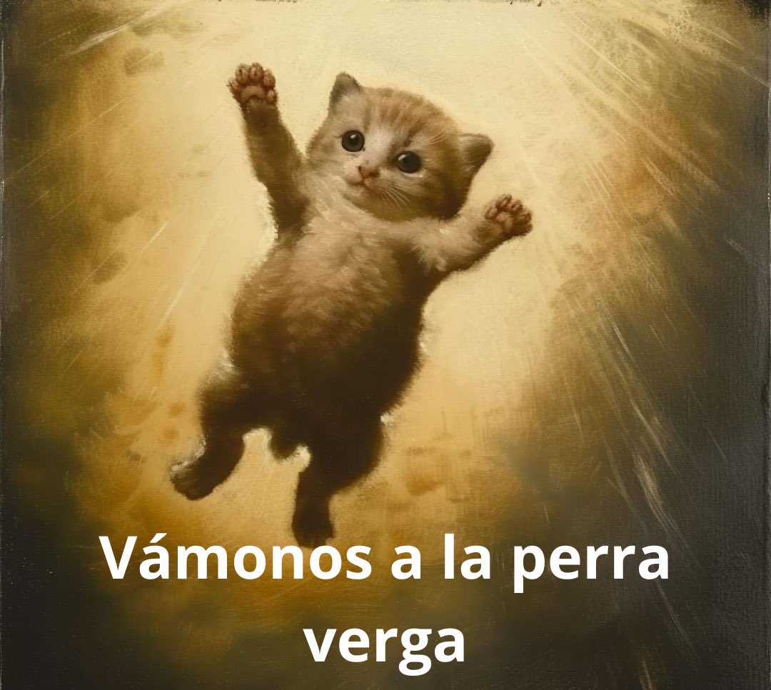 Don Cruz tweet media