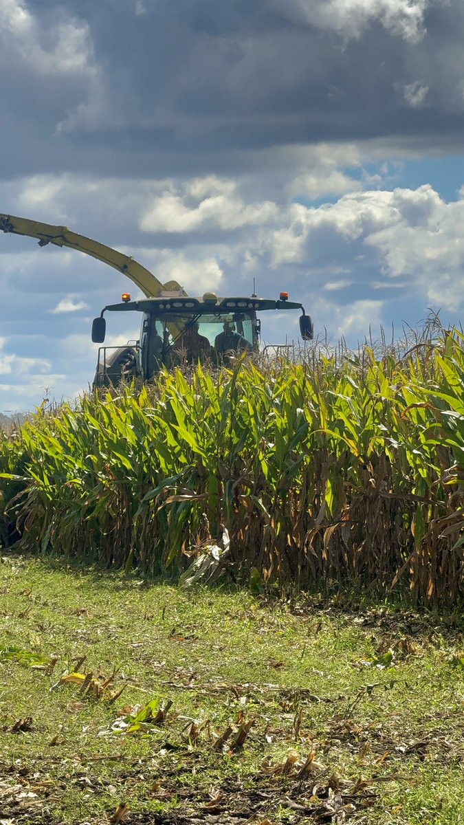 Carlos Federico Espelet tweet media