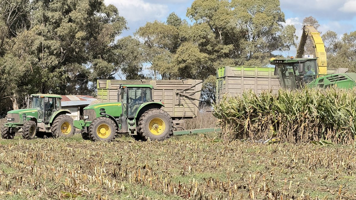 Carlos Federico Espelet tweet media