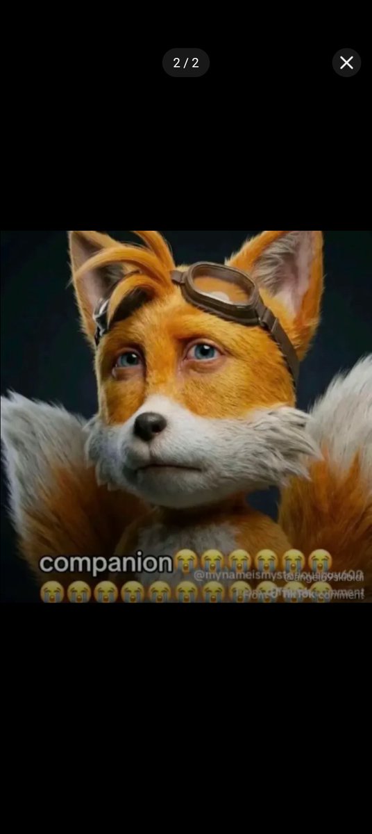 B A R A!! tweet media