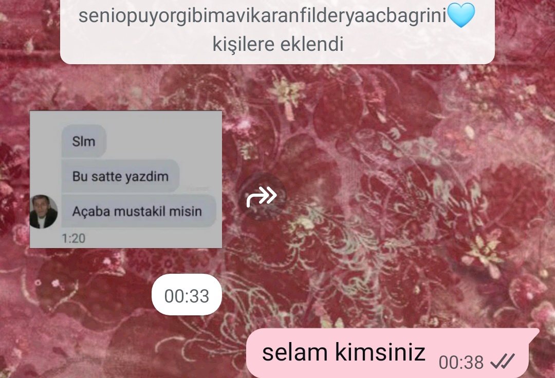 sayın zelzele hanım✩ tweet media