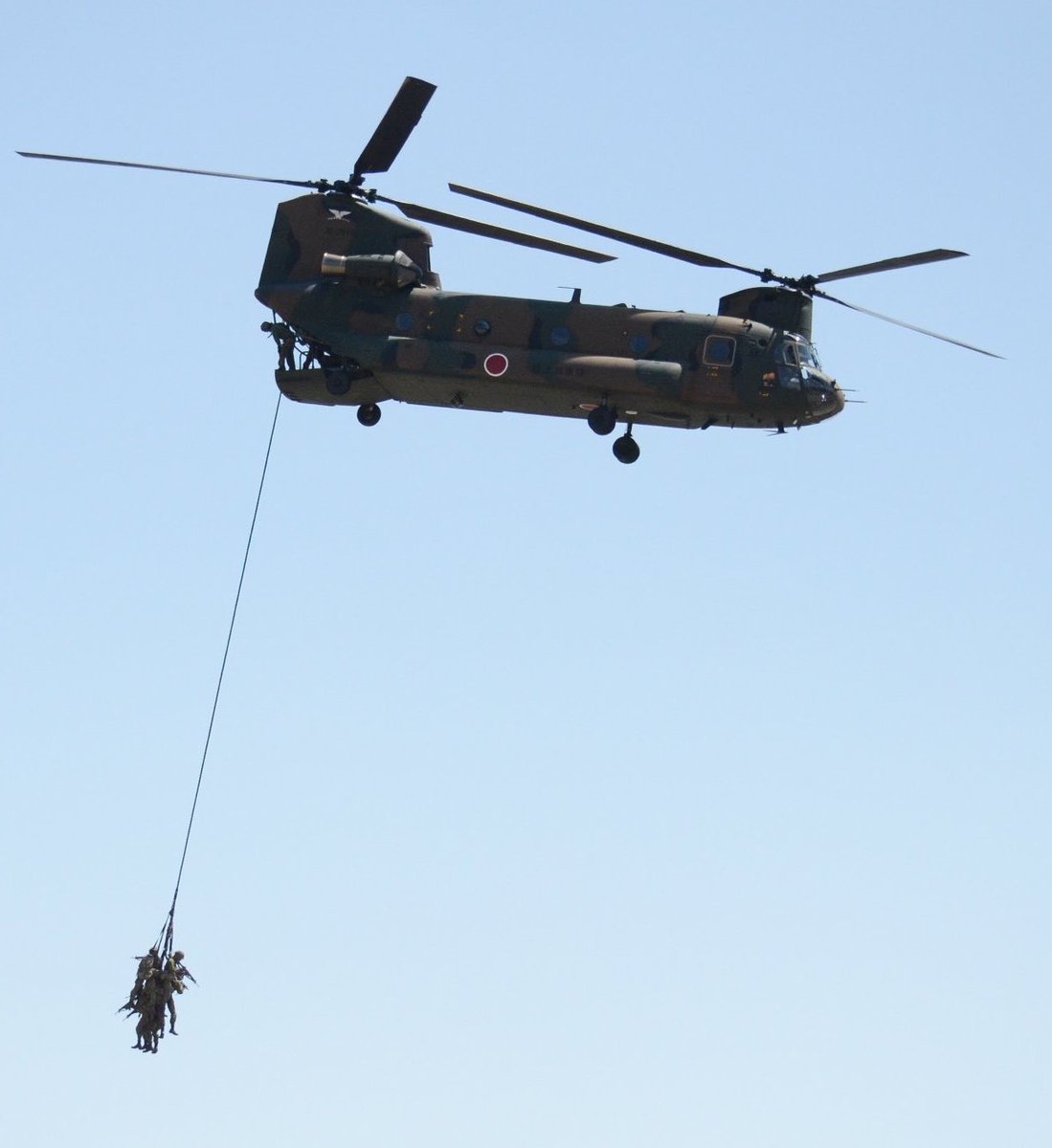 ちぃすけ tweet media