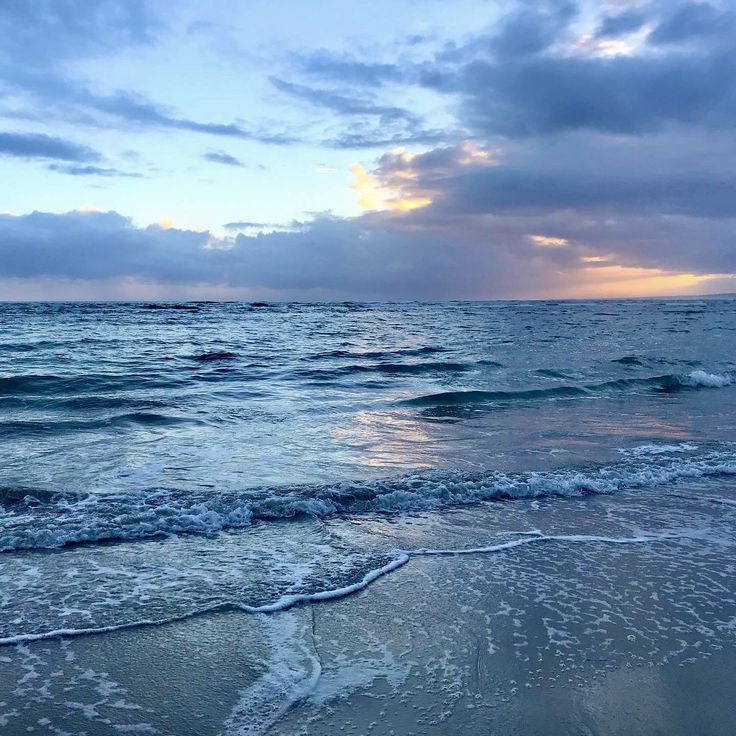 Hitok 🇻🇪 🍉 C0MMS OPEN! tweet media