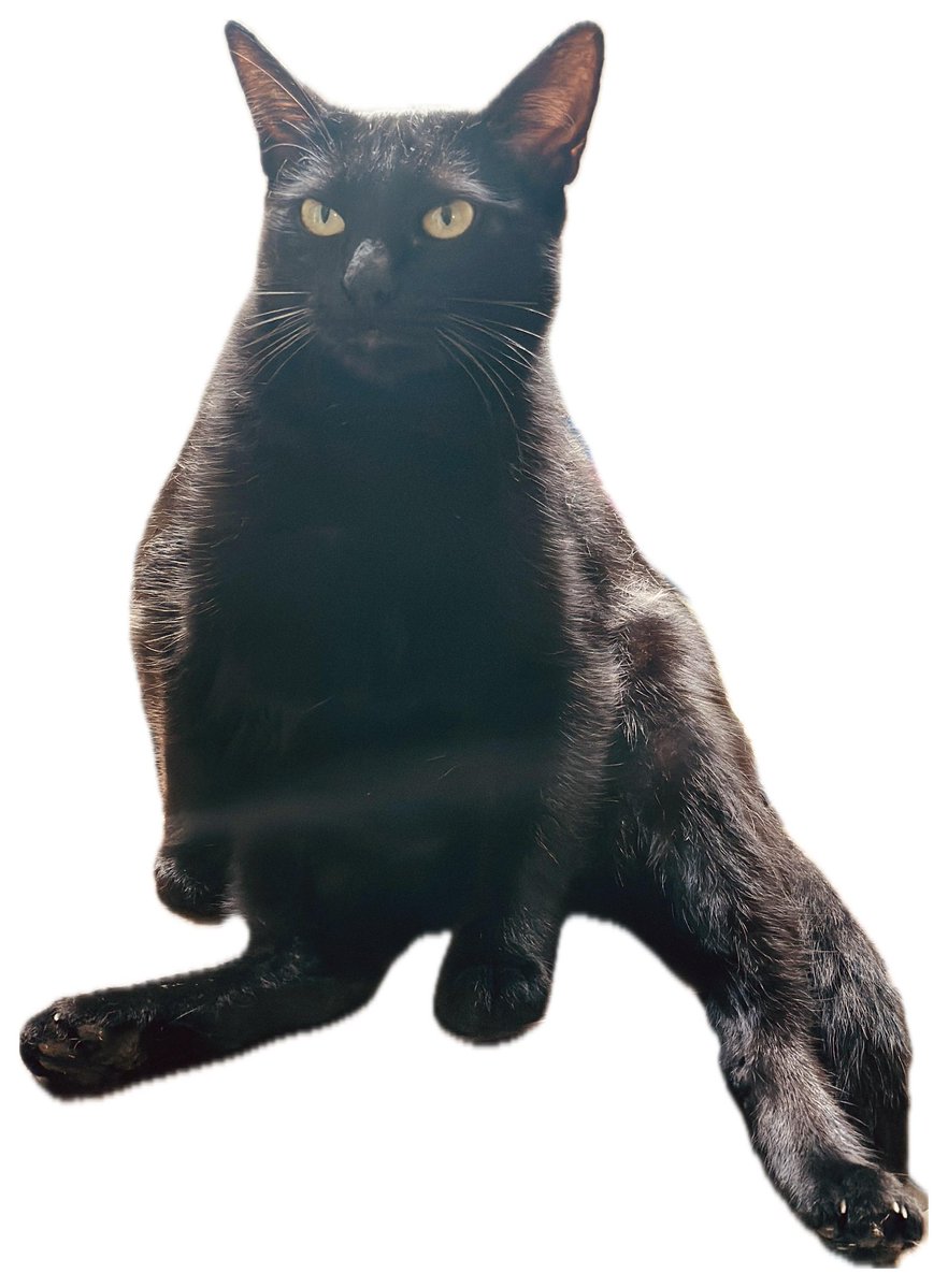 ʚ🍓ɞ tweet media