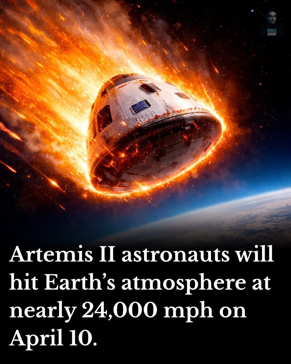 The Original Acadian Shepherd tweet media