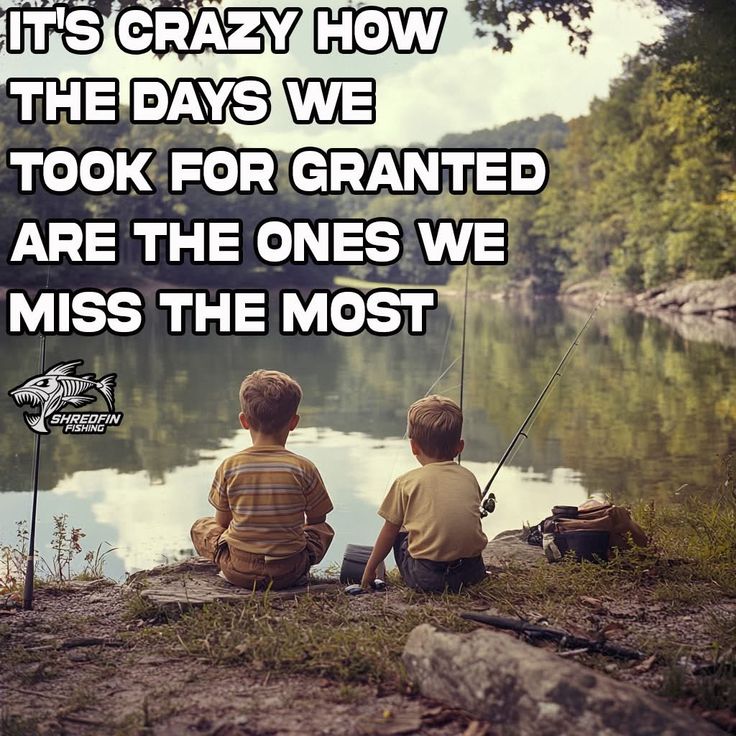 Timothy Grant tweet media