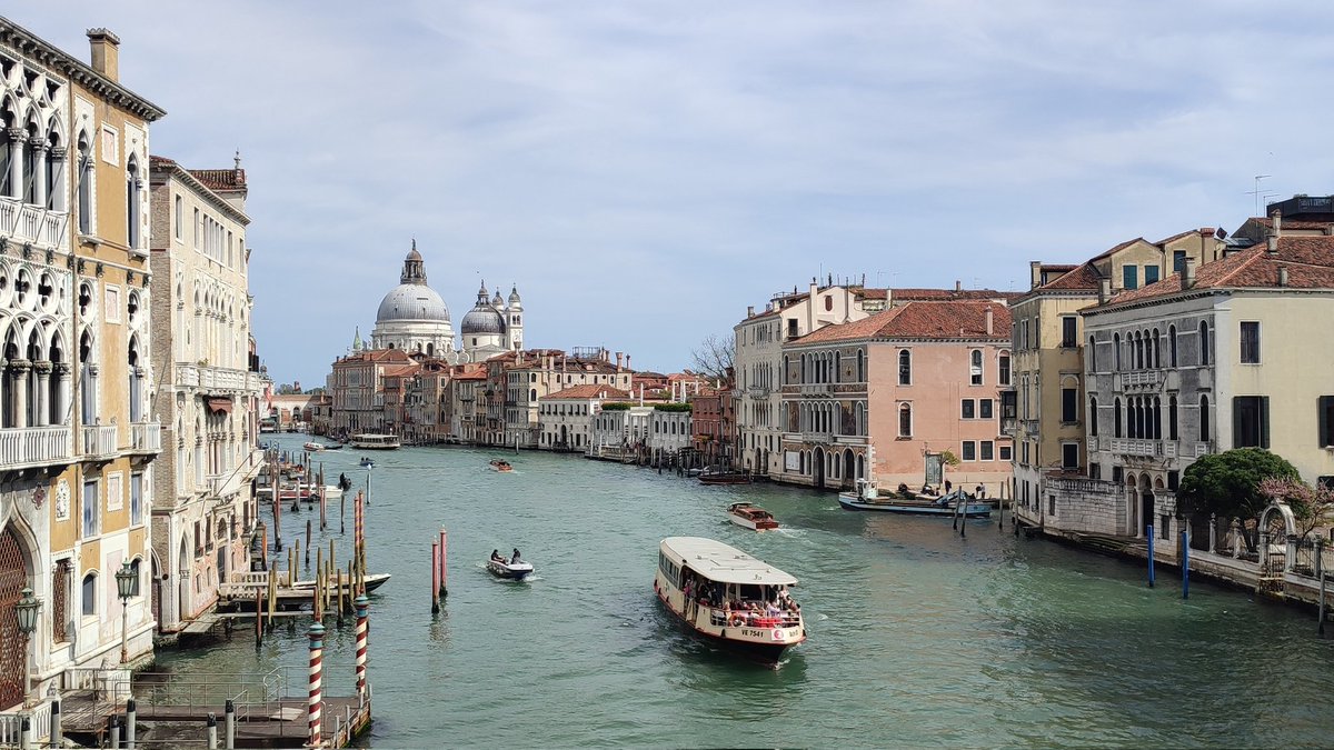 دلآرام tweet media