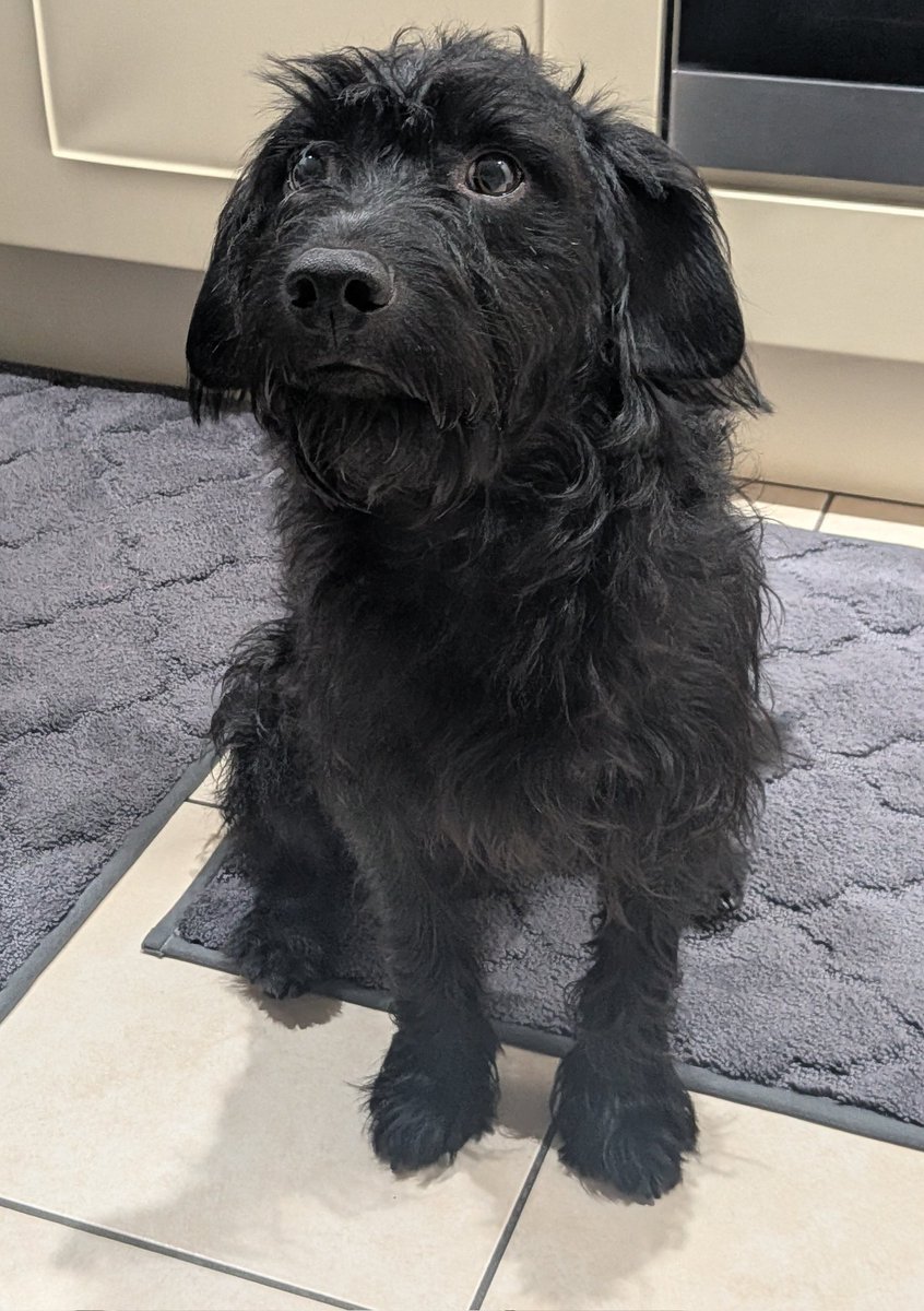 👑Chidi 🐕 tweet media