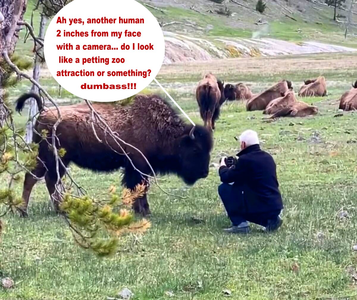 Golden Horizon Tours tweet media