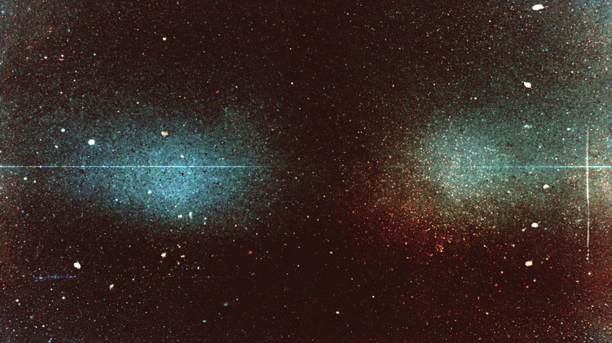 タツキ｜サムネ顧問 tweet media