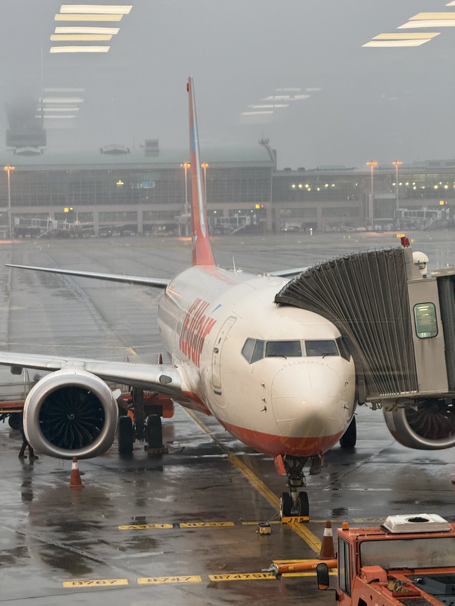 시루𖤐 tweet media