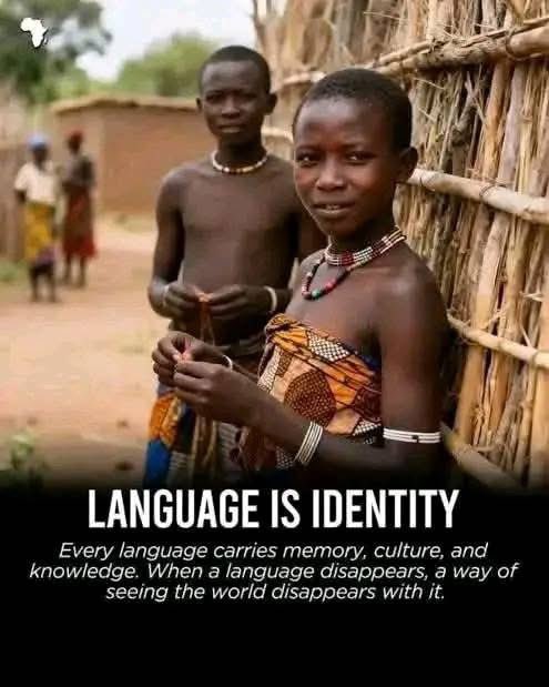 Typical African tweet media