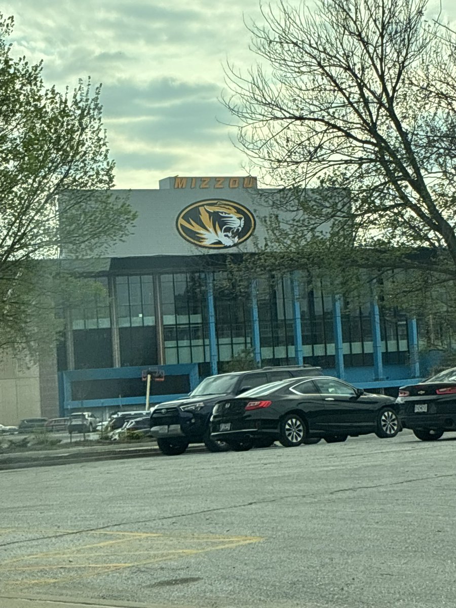 TigerWill tweet media