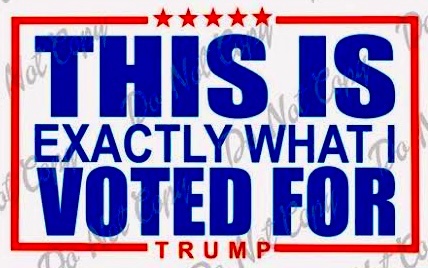 Donna OMeara tweet media