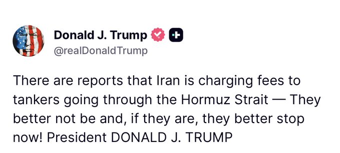 Goldie Ghamari | گلسا قمری 🇮🇷 tweet media